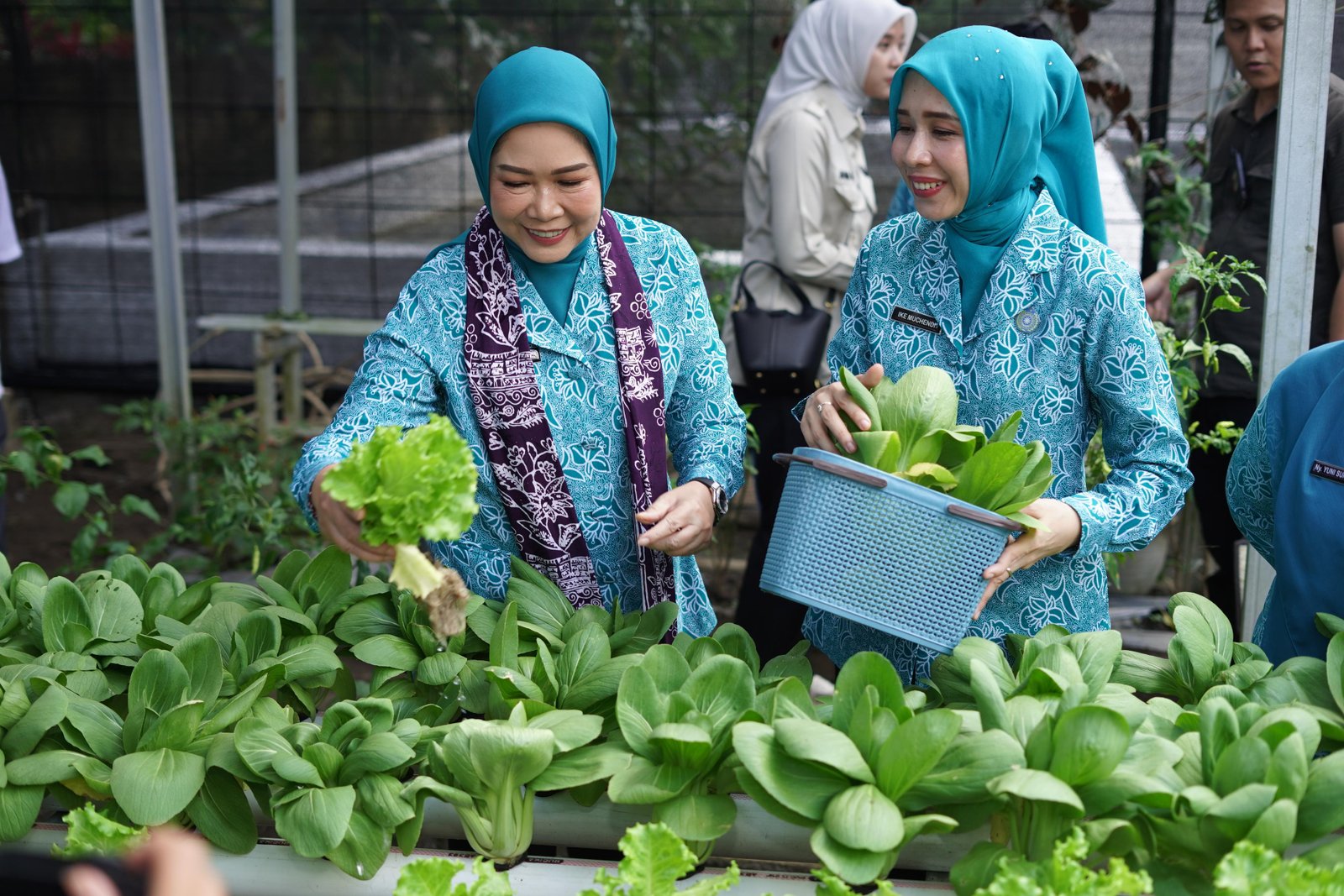 Ketua TP PKK Sumsel Feby Deru Dorong Kebun Wisata dan Desa Percontohan Saat Kunjungan ke OKI
